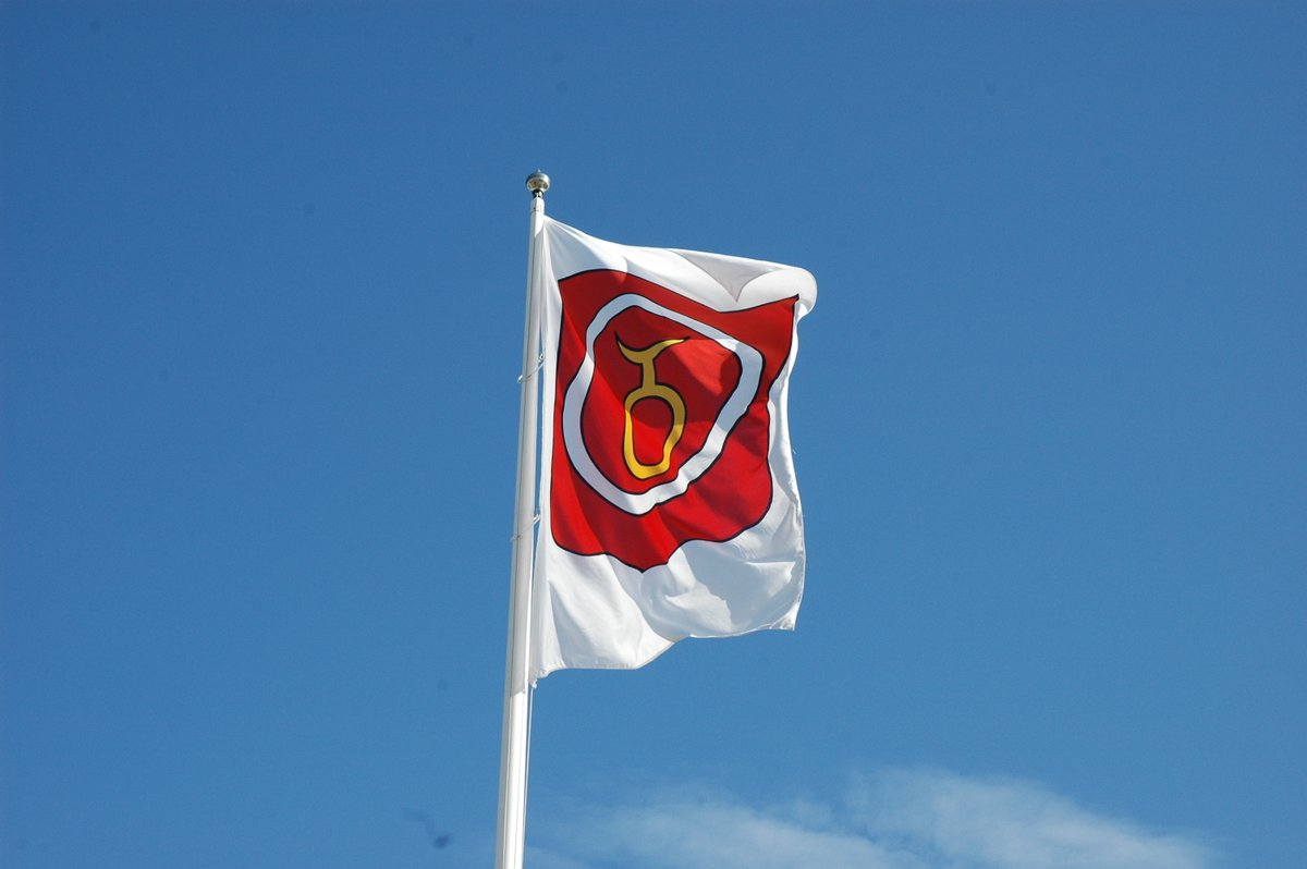 Flaggstång med kommunens flagga som vajar