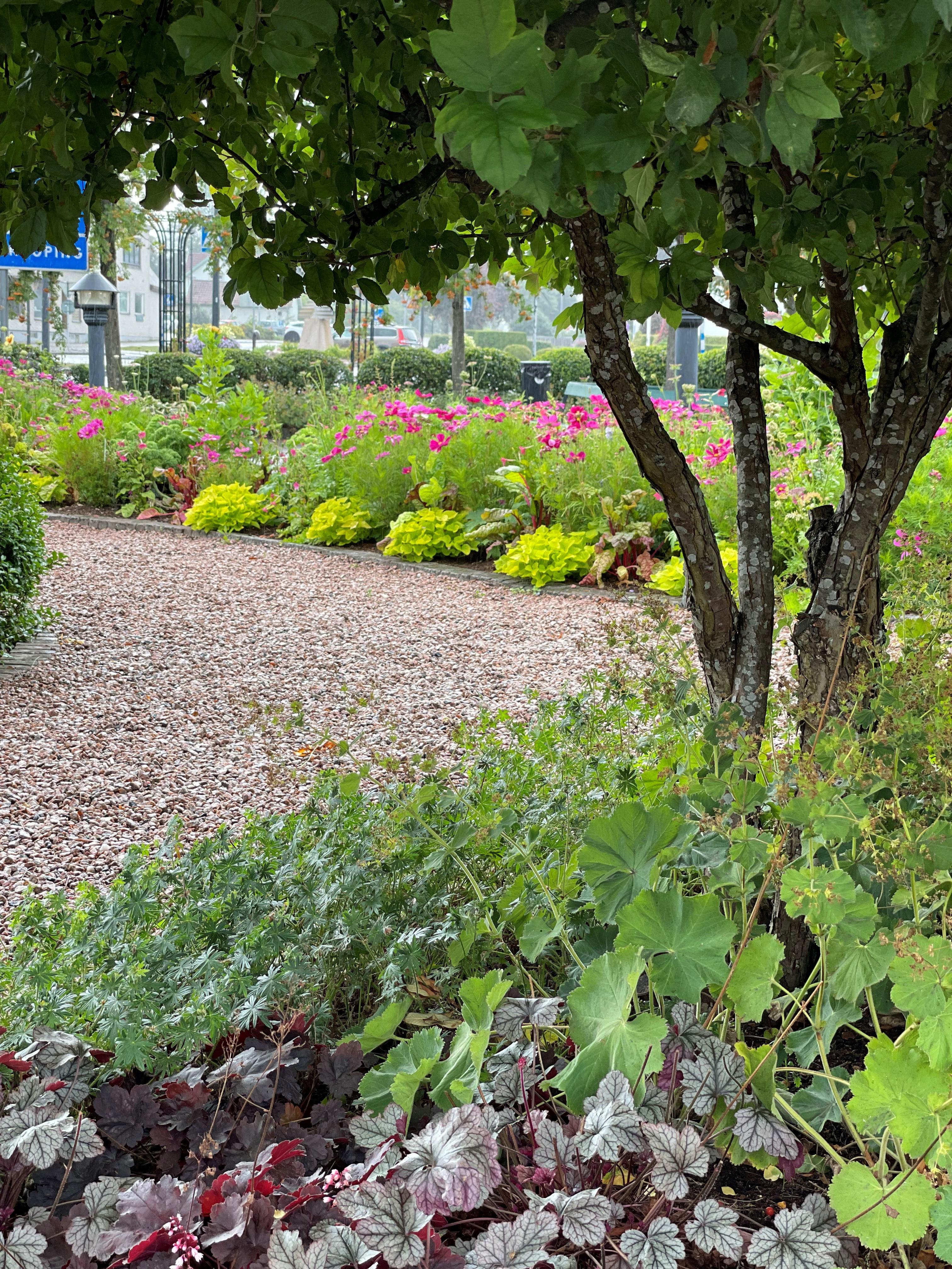 Vacker dunge under träd i parken