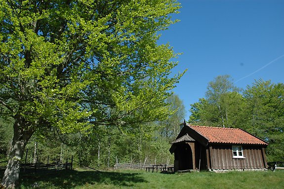 en liten brun stuga vid ett stort träd