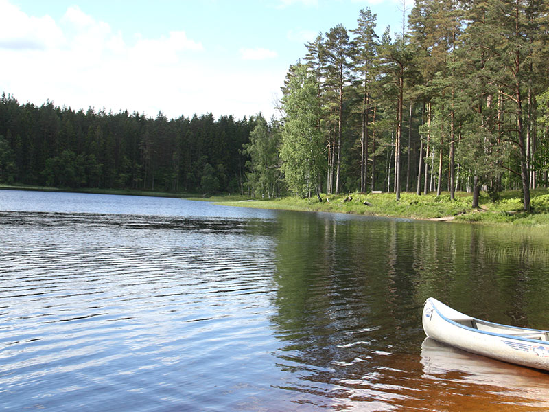 En sjö. Till höger i bilden syns en skogsdunge och en kanot.