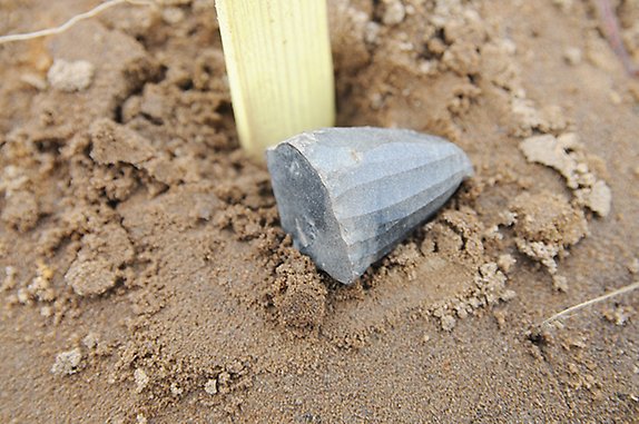 sandig jord med en flintbit