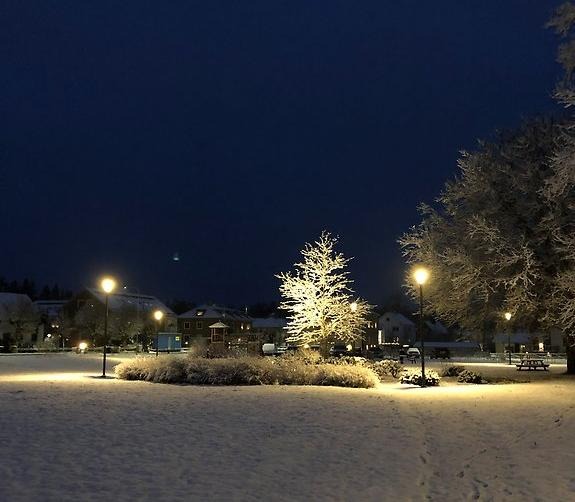 Ekenparken en vacker vinternatt
