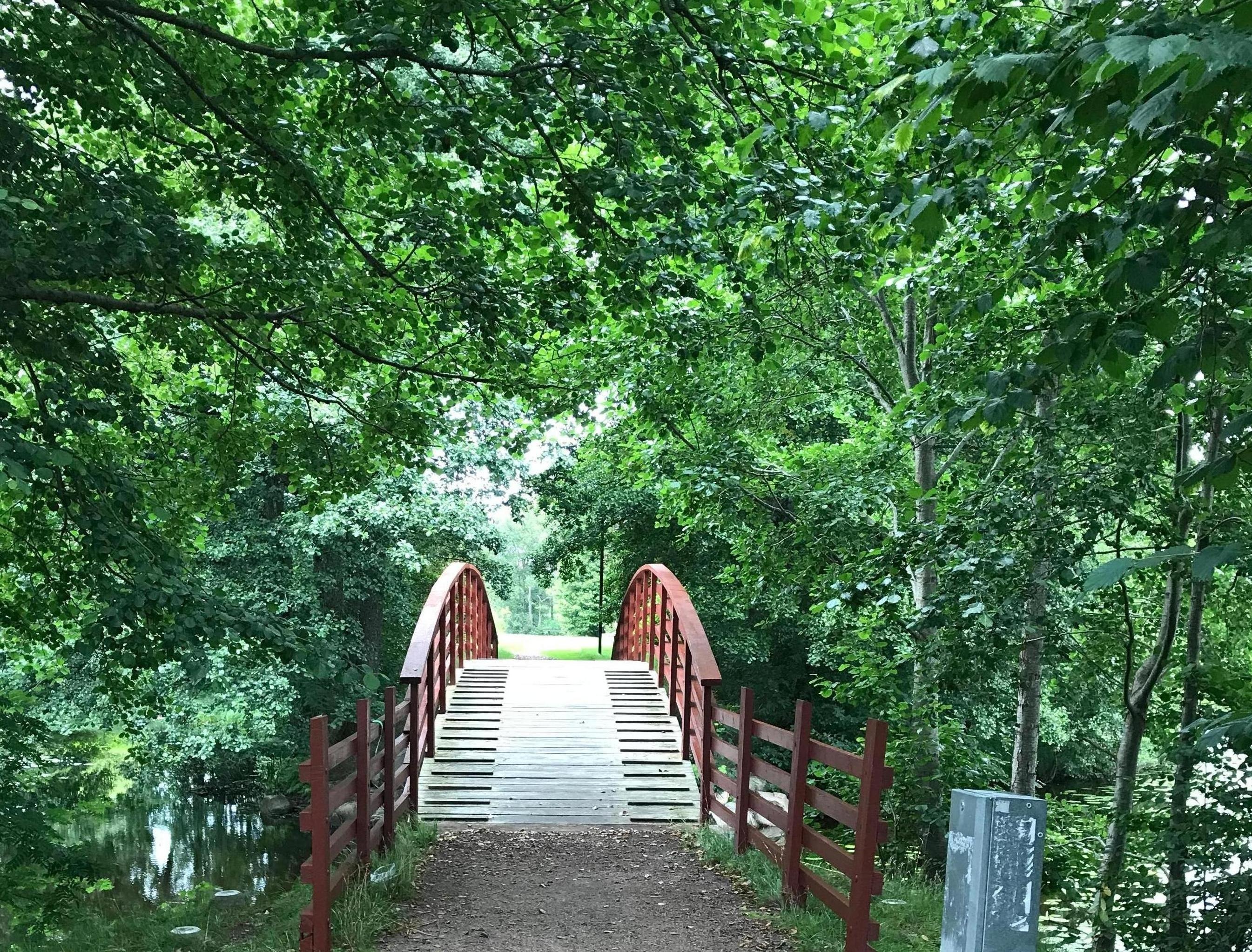 Grönska runt en träbro i Dalenparken
