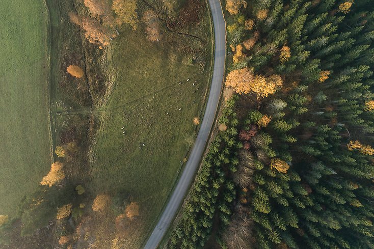 Fågelperspektiv väg