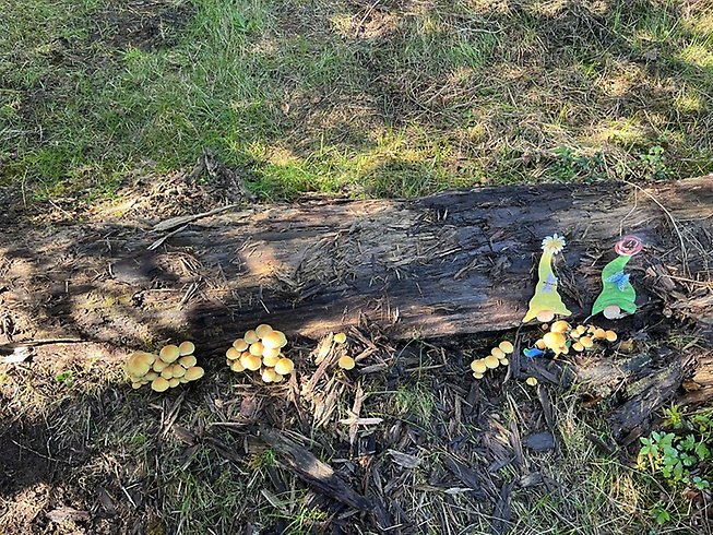 En stubbe med tomtar